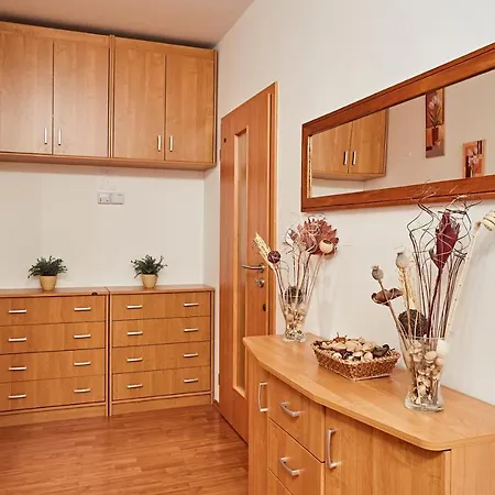 Horsky Apartman Klinovec 5 Διαμέρισμα Loučná pod Klínovcem